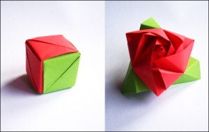hoa hong ma thuat origami